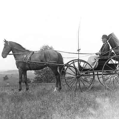 Horse Drawn Carriage with Driver