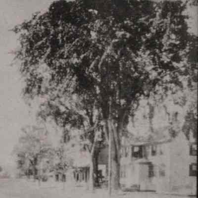 An enlargement of a portion of 1981.50.