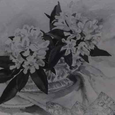 Pastel drawing