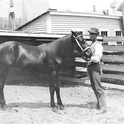 Unknown Man and Horse