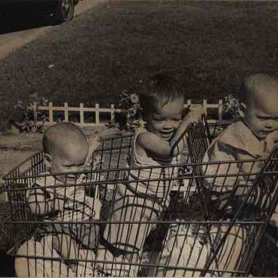A photo view of the Shaulis triplets, Brunswick. 6/26/1975.