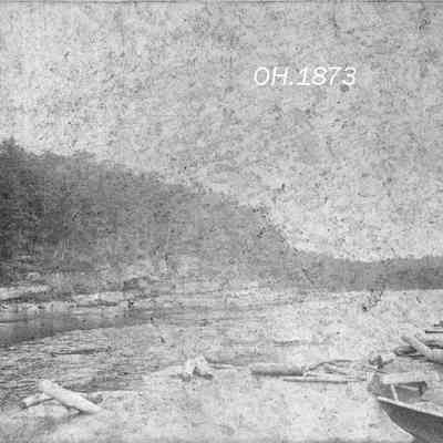 Pulp Logs on a River