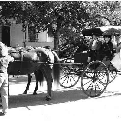 Horse & Buggy in Brunswick's 250th Anniversary Parade