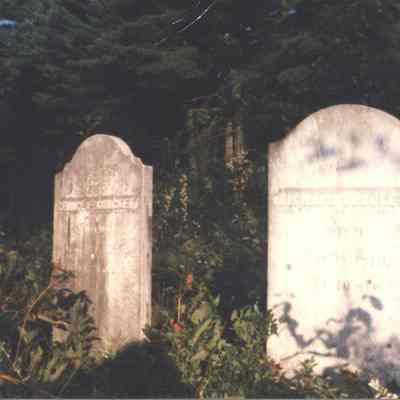 A photo of Crockett gravestones. 9/1986