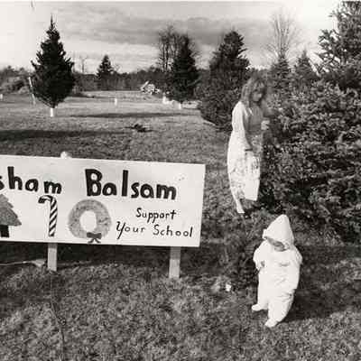 Christmas tree sale