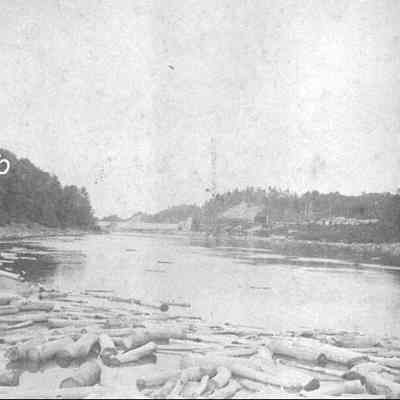 Pulp wood in River