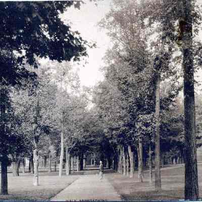 Walk approaching Mass. Hall