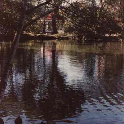 A photo view of a pond scene. 10/22/1990.