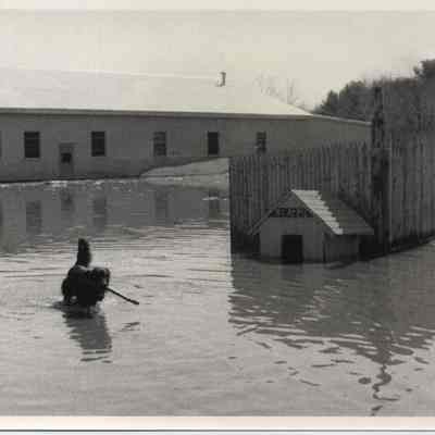 1987 Androscoggin River Flood, Water Street, Brunswick
