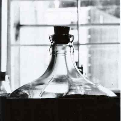 Five Gallon Carboy