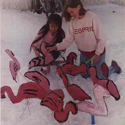 A photo view of setting up displays for Christmas. 12/23/1987.