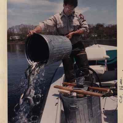 A photo view of fish being stocked. 5/22/1992