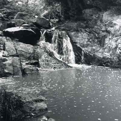 Falls at Simpson Brook.