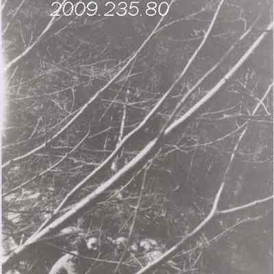 A photo of Leona Gordon in N. H.
