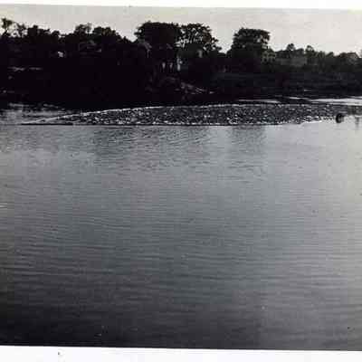 Pulpwood, Androscoggin River