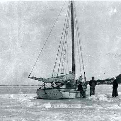 Nellie G. York