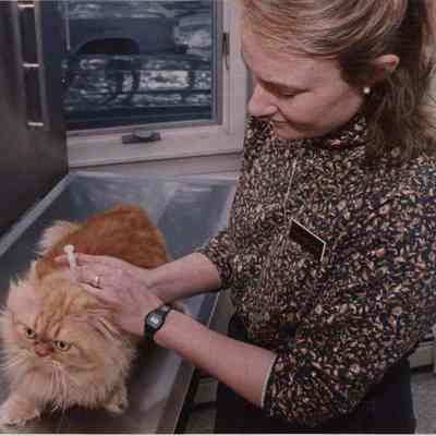 A photo view of Dr. Amy Wood. 1/16/1992.