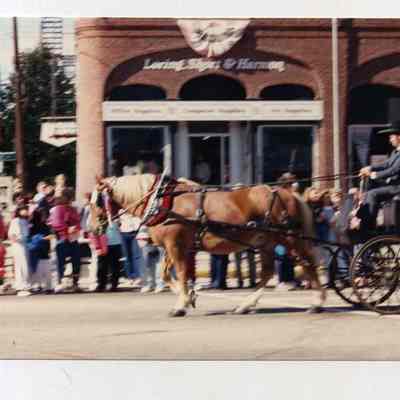 Brunswick's 250th anniversary parade