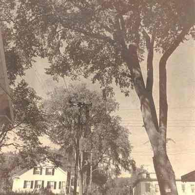 School Street