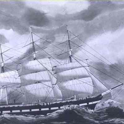Ship Roger Steward