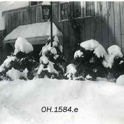 Blizzard of 1952
