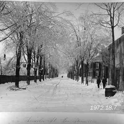 Lincoln Street, Brunswick