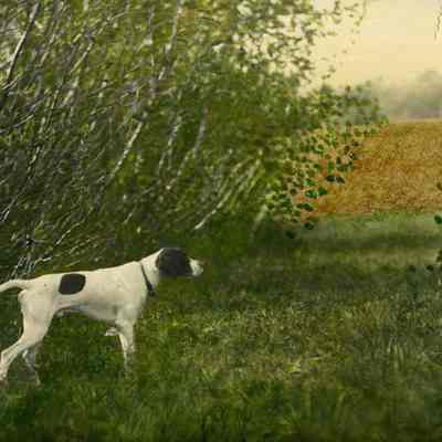 "Pointer"
