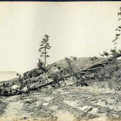 The Grove at Pott's Point