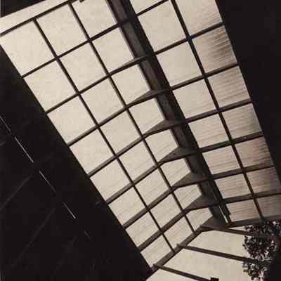 A photo view of the roof of a house. 9/1/1981.