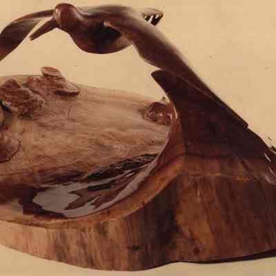 American Oyster Catcher Sculpture