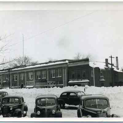 Snow Scene