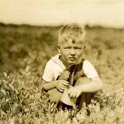 Little Boy Picking Blueberries