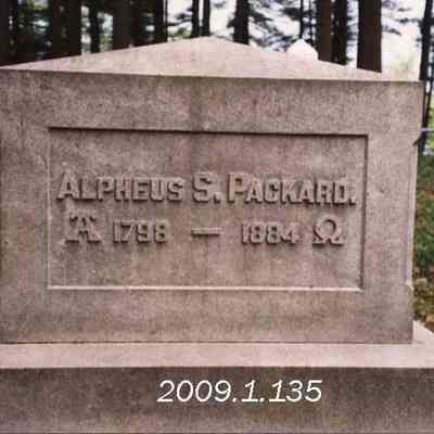 A photo of A. S. Packard's gravestone.