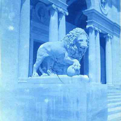 Lion,Walker Art Bldg