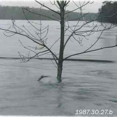 Flood of 1987