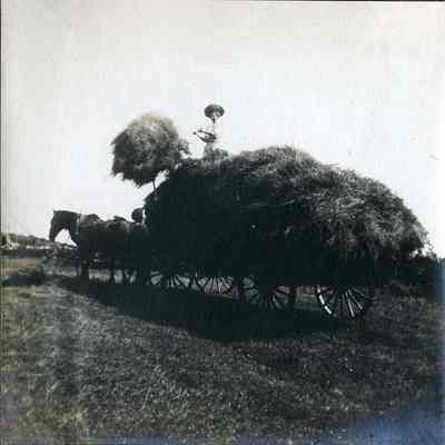 Haying at the Hanson's Farm, Orr's Island