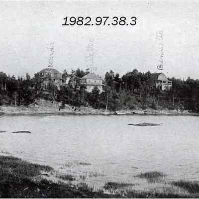 a picture postcard of Arlington Avenue, Birch Island, Maine. 8/21/1905.
