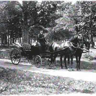 Man in a Horse Drawn Carriage