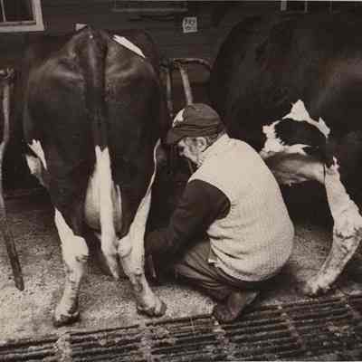 A photo view of Ed. Totman. 3/14/1977.