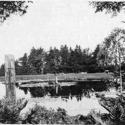 Little Pond at Liberty Farm