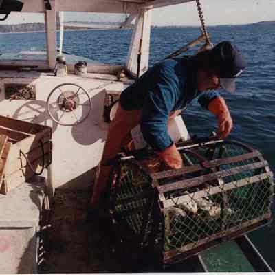 A photo view of a lobsterman working. 3/27/1991.
