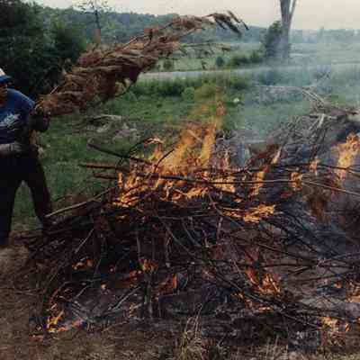 A photo view of a man burning brush. 7/19/1989.