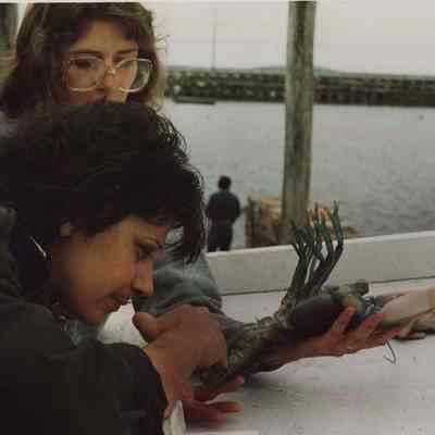 A photo view of examining a lobster at Bailey Island. 7/7/1987.