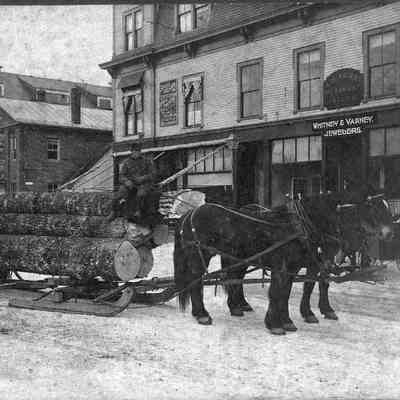 Horse Drawn Sleigh