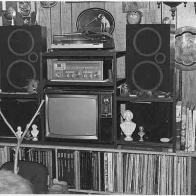Entertainment center