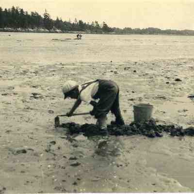 Digging Clams