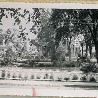 Hurricane of 1954, Elm St, Topsham
