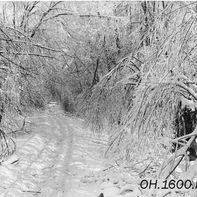 Ice Storm 1891