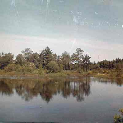 Print, photograph