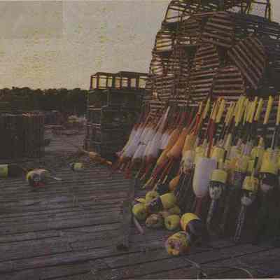 A photo view of lobster buoys and traps. 10/7/1985.